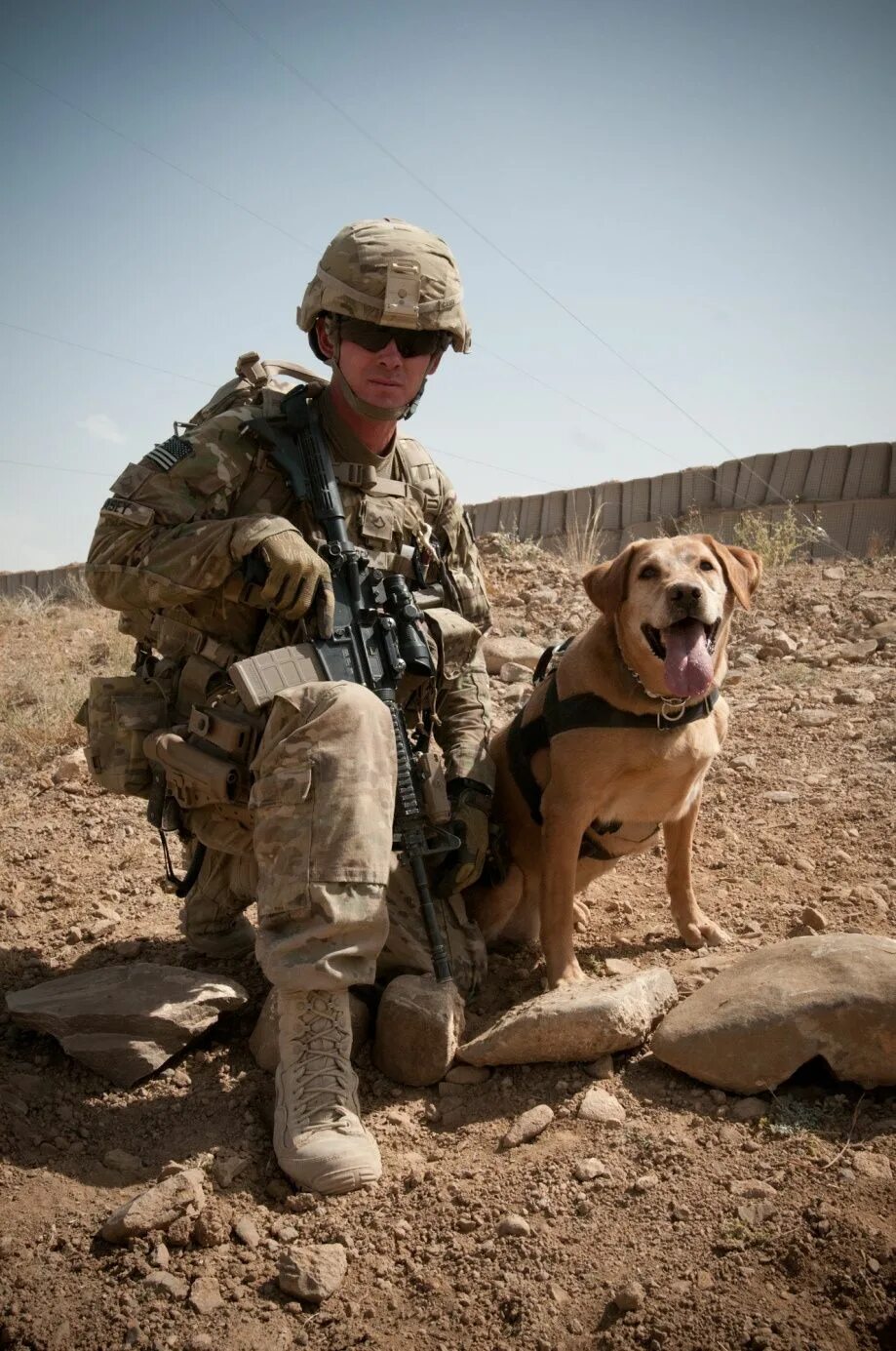 Военный друг. Собаки на военной службе. Собаки на службе в армии. Солдат с собакой. Собаки в Российской армии.