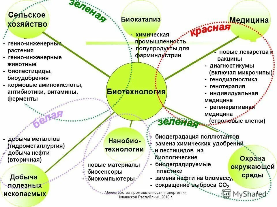 Науки практического применения