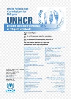 United nations high commissioner
