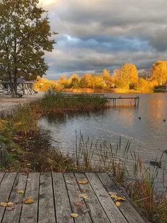 Подслушано колтуши