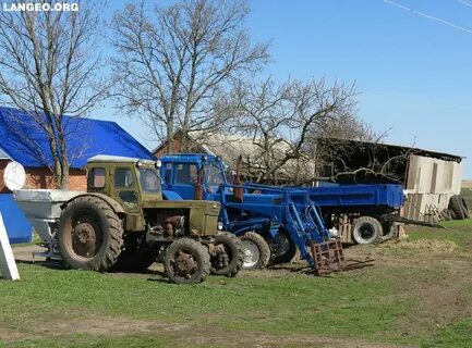 Погода в могукоровке