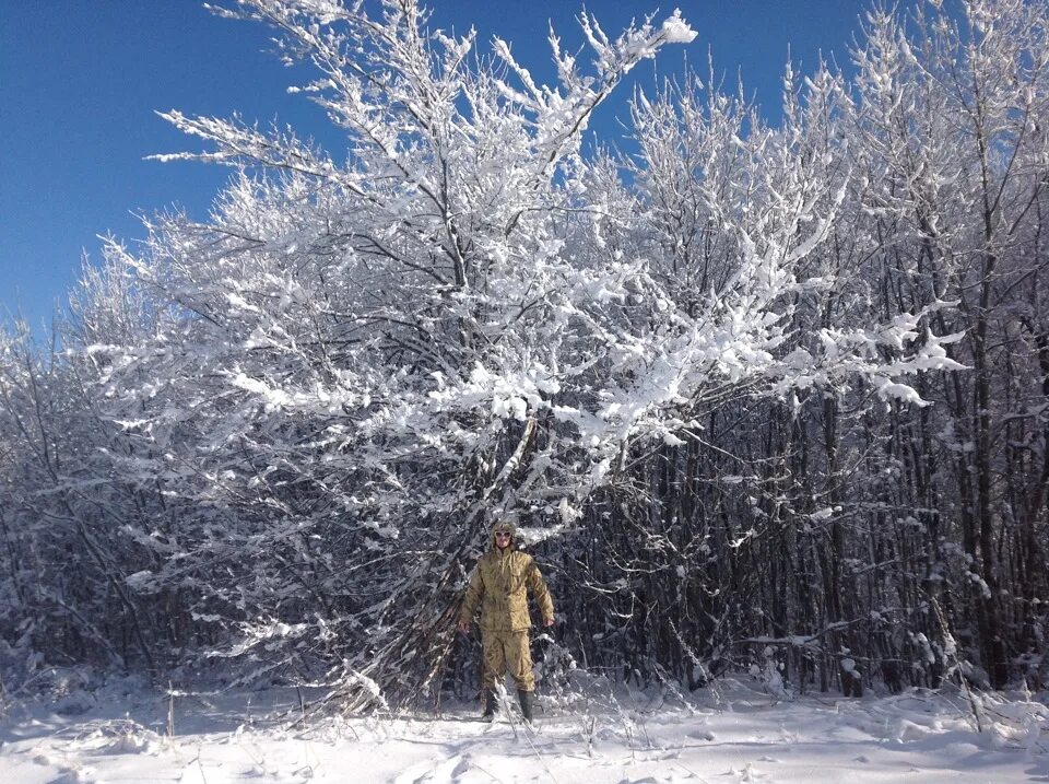 Дело было зимой. Дело было зимой. Дело было зимой. Дело было в январе рисунок. Дело было зимой.
