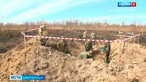 Рубеж поиск