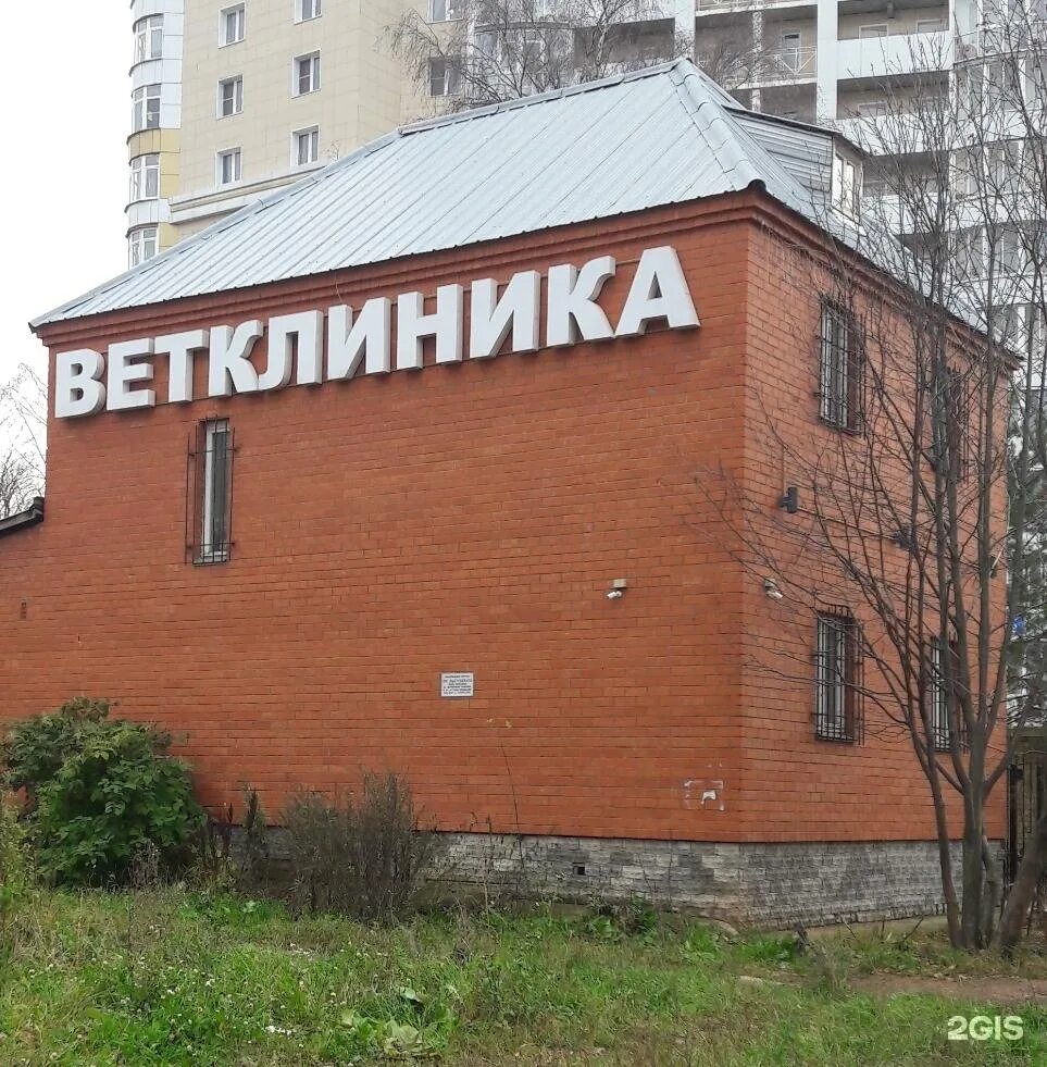 Подгорная 7 киров. Ветклиника верный друг киров октябрьский проезд 14. Ветклиника верный друг киров. Ветклиника киров подгорная. Ветклиника киров подгорная.