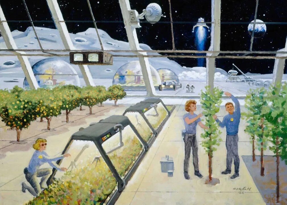 Колонизация марса жизнь на марсе. Корусант дубай. Корусант дубай. Планета корусант небоскребы. Будущее землян.