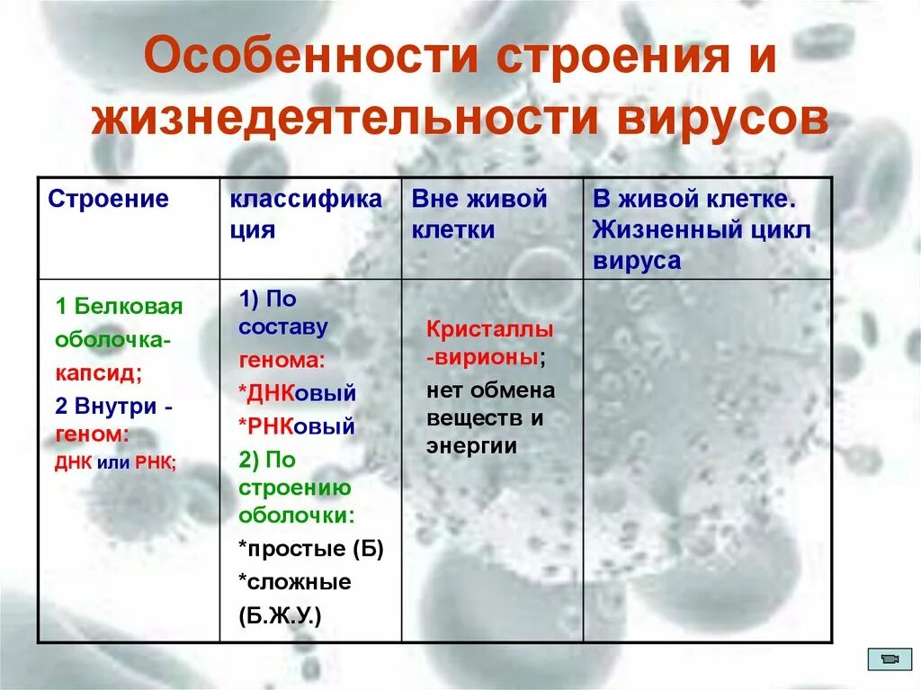 Особенности строения и жизнедеятельности вирусов. Особенности строения вирусов. Особености строение вирусов. Вирусы особенности их строения и жизнедеятельности. Характеристика вирусов биология