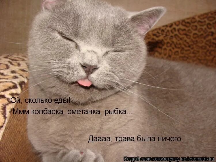 Мне очень стыдно перед тобой. Анекдот про ваську косого и корову. Долго будешь дуться. Кот ждет весну. Долго будешь обижаться.