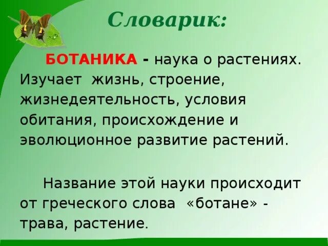 Ботаника изучает животных. Наука о растениях. ботаника это наука изучающая. ботаника как наука о растениях. ботаника изучает строение и жизнедеятельность.