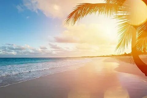 Summer but