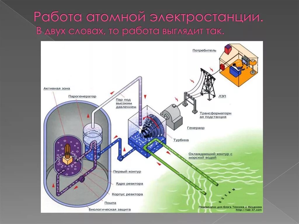 Принцип работы электростанции схема. Схема ядерного реактора ВВЭР. Принцип работы атомной электростанции схема. Парогенератор тепловая схема ВВЭР.