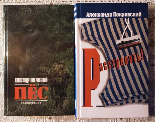 Книга расстрелять. Покровский расстрелять книга. Купить книгу покровского