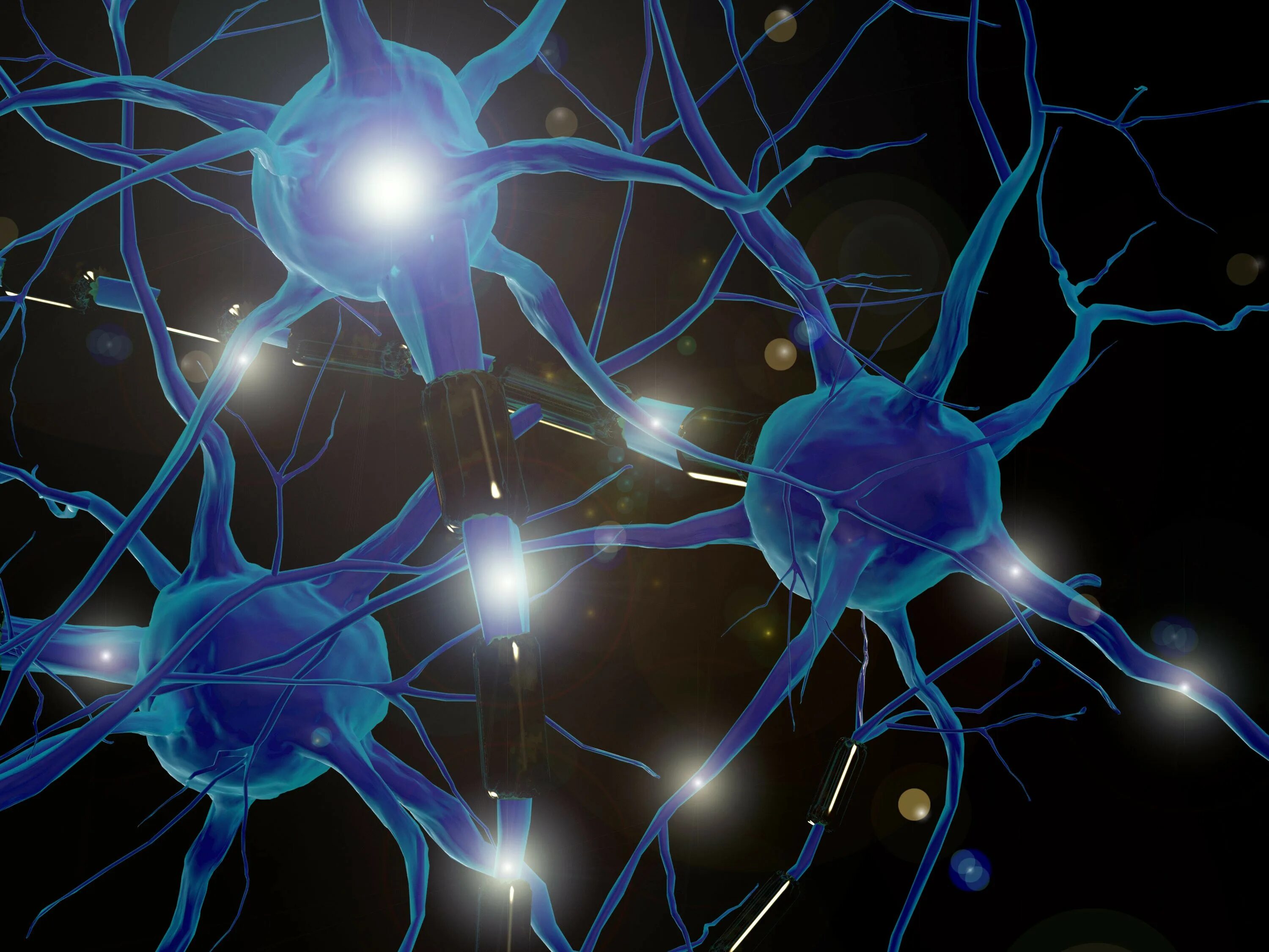 Neural system