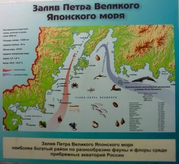 Карта петра великого