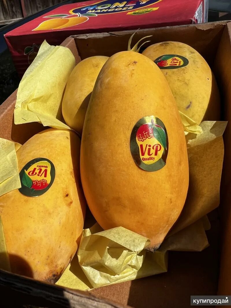 Сколько стоит кг манго. 12 Кг манго. 12 Кг манго в коробках. Манго свежее купить. Сколько стоит один килограмм манго свежего в СПБ.