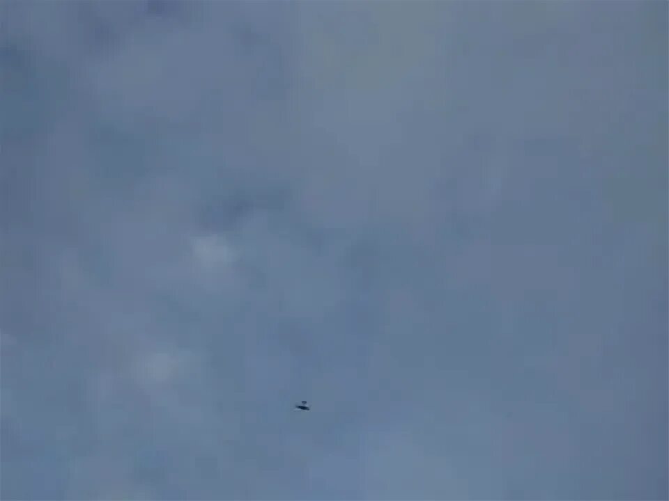 Верь глазам своим? Пикабу