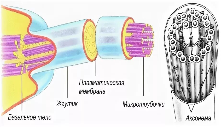 Передвижение строения. Передвижение строения