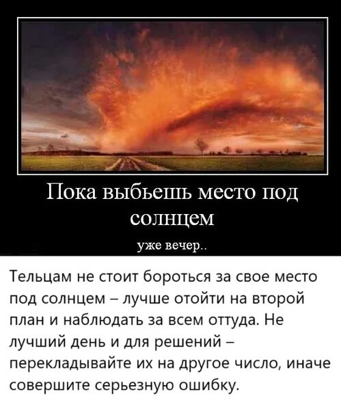 Тест под солнцем. Борись за место под солнцем. за место под солнцем. картинка под солнцем прикол. у каждого свое место под солнцем.