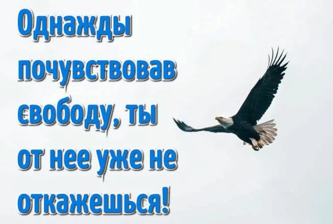 Статус свободы