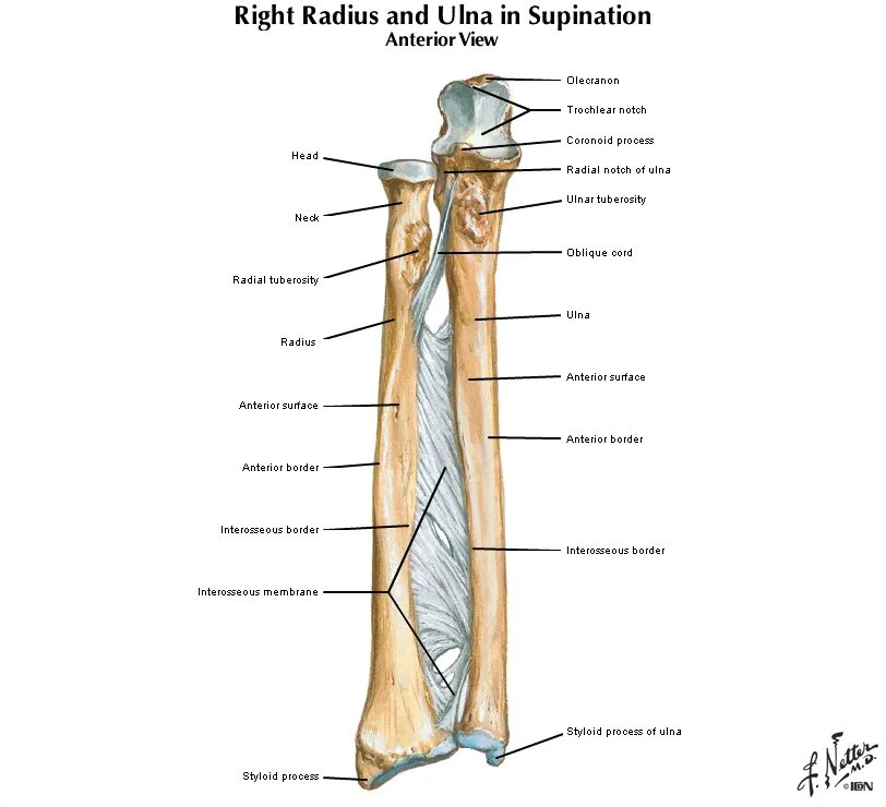 Into the radius 2. Into the Radius. Into the Radius VR. Into the Radius миссии. Setting in into the Radius.