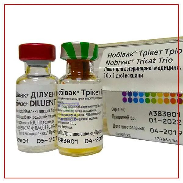 Вакцина tricat trio. Вакцина Нобивак трикет трио. Вакцина Nobivac Tricat + Rabies. Вакцина Нобивак Tricat Trio Rabies. Nobivac Tricat вакцинация.