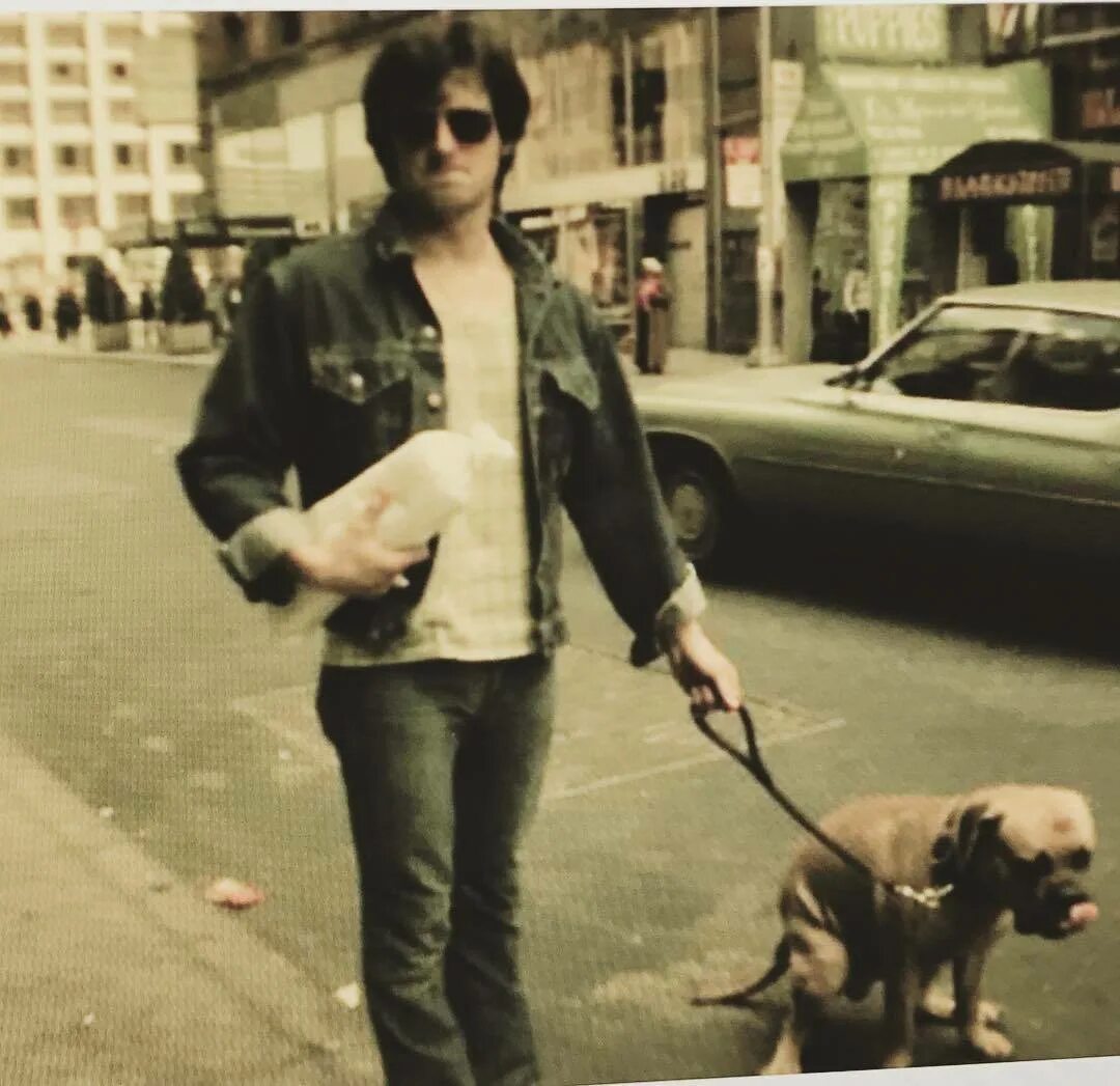 Баткус собака сталлоне. Сильвестр сталлоне и его пес. Баткас сталлоне собака. Баткус сталлоне. Собака сталлоне.