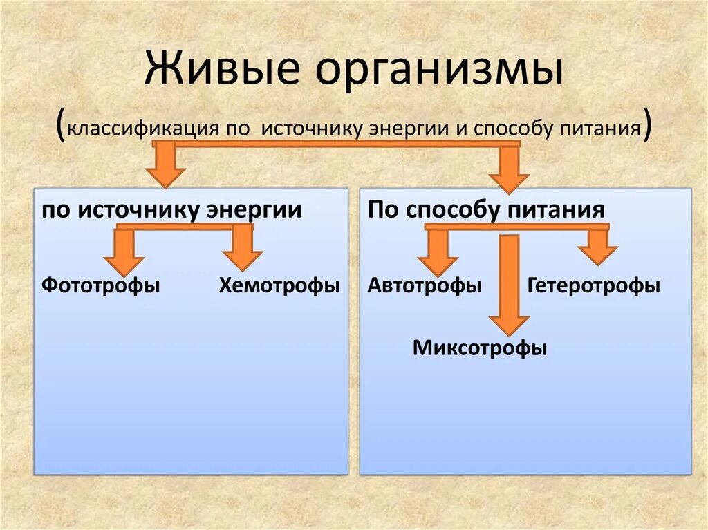 Процессы питания живых организмов. Классификация организмов по источнику энергии. Классификация организмов по типу питания и источнику энергии. Классификация организмов по питанию. Классификация организмов по способу получения энергии.