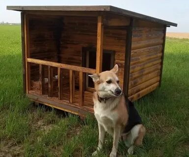 Будка для большой собаки
