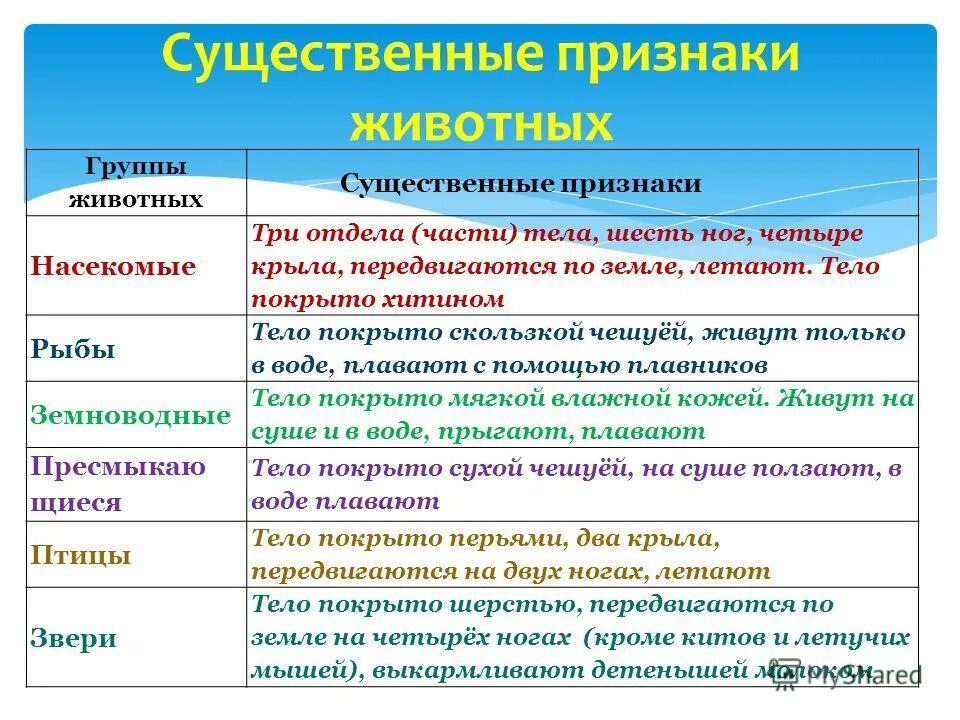 Признаки животных. Признаки зверей. Характерные особенности животных. Отличительные особенности животных. Окружающий мир названия групп