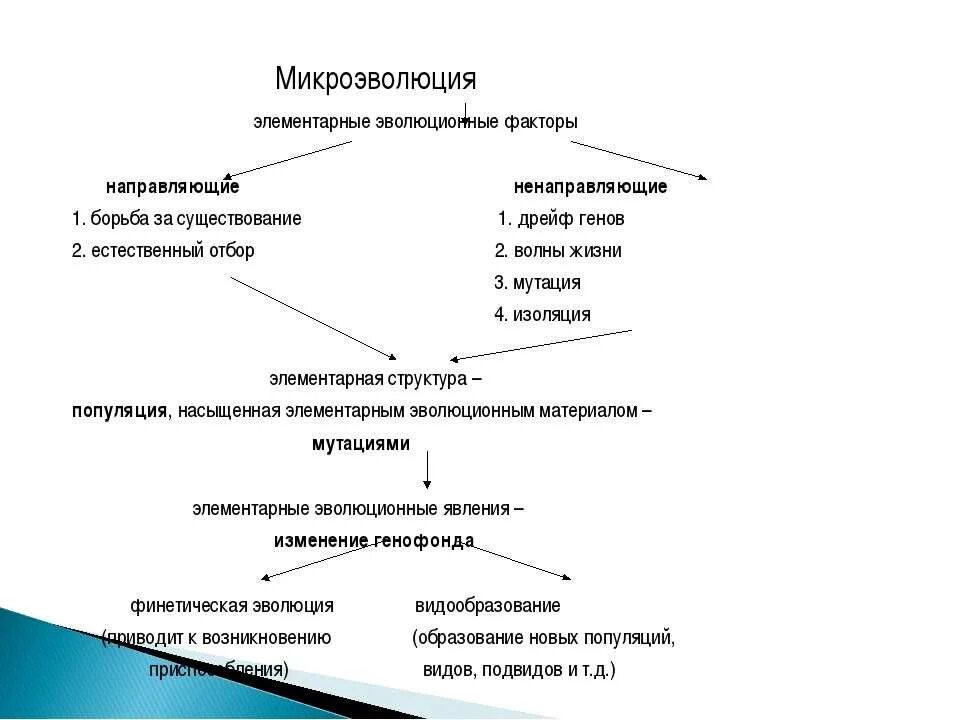 Тест по биологии макроэволюция. Схему «элементарные факторы микроэволюции».. Результаты микроэволюции схема. Схема элементарные факторы микроэволюции единица. Элементарные эволюционные факторы микроэволюции.