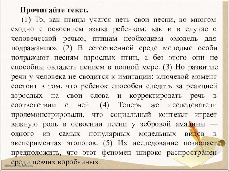 То как птицы учатся петь свои. То как птицы учатся петь свои песни грамматическая основа. Текст задания.