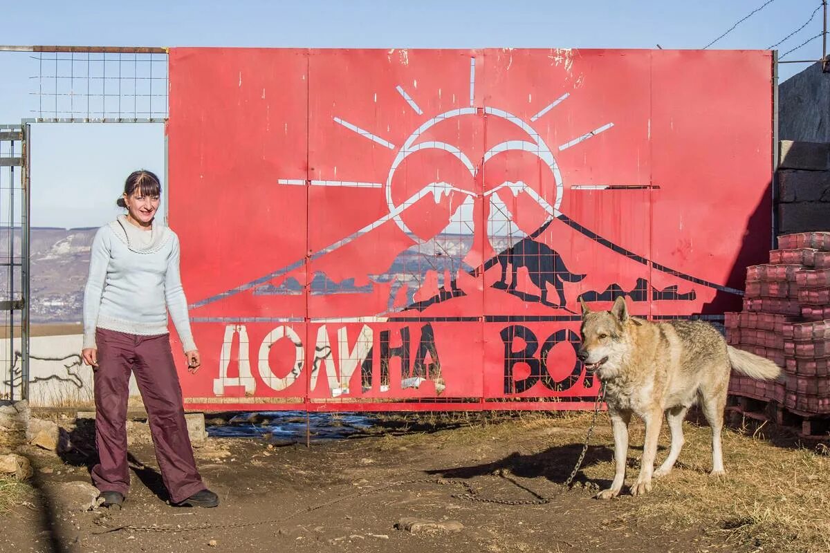 Элькуш волки