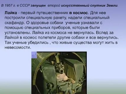 Зачем люди осваивают
