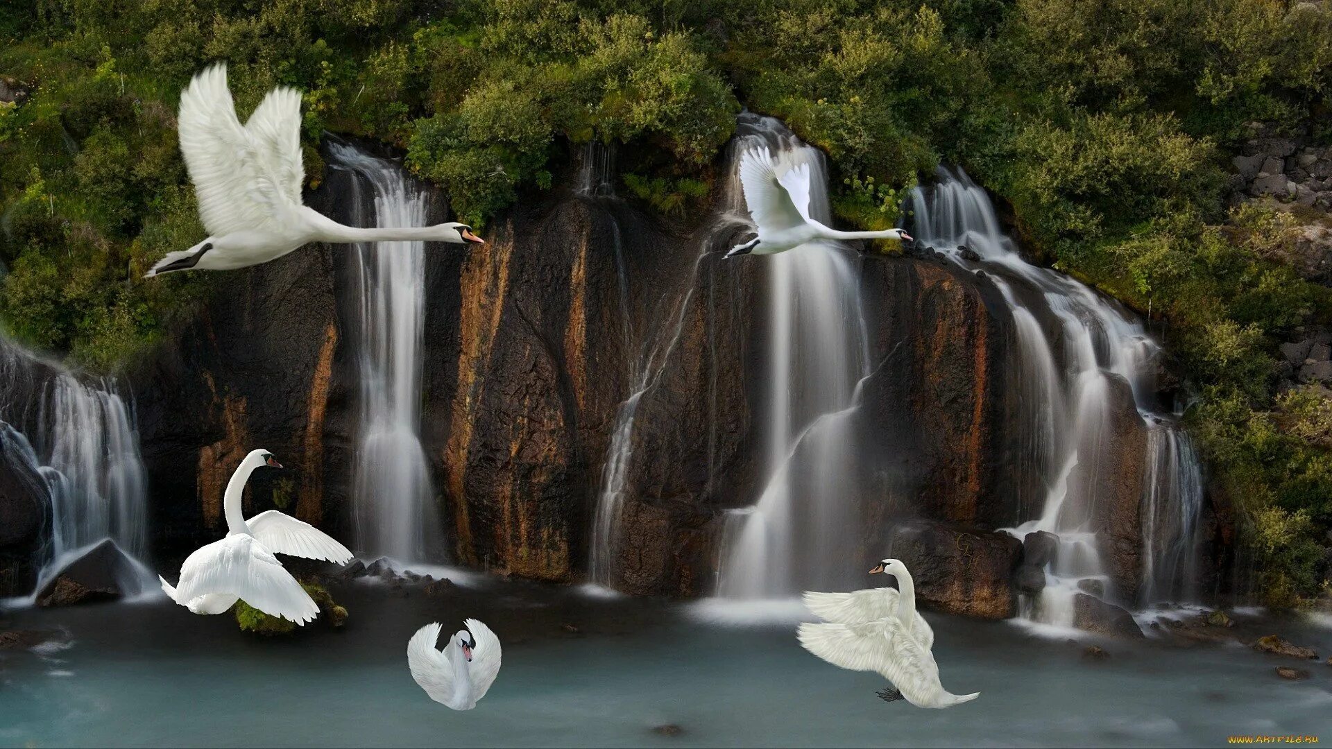Красивые водопады. Водопад и птицы. Живая природа. Фон водопад.