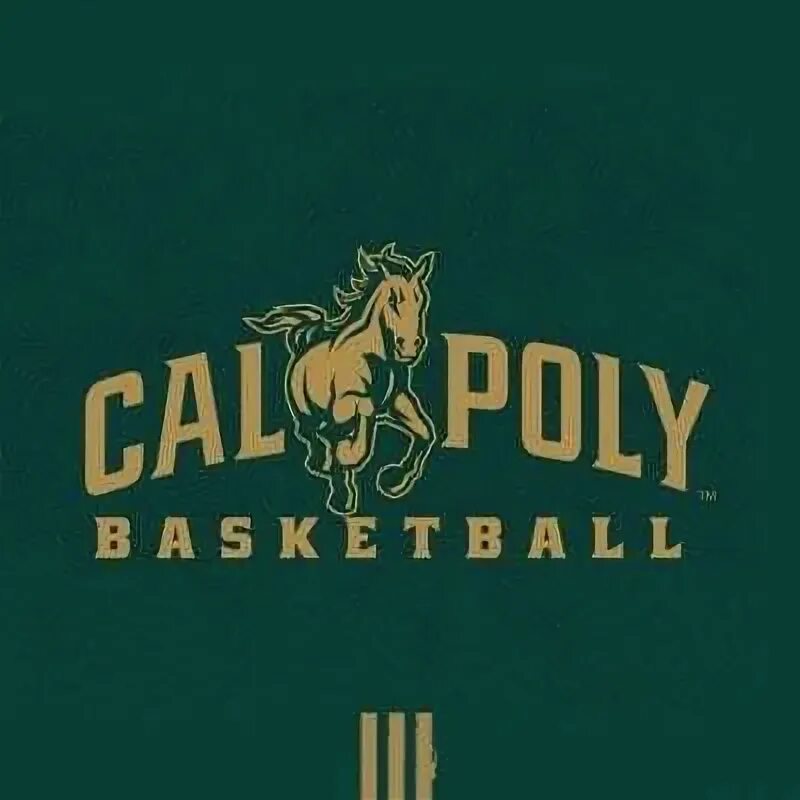 Мустанг абонемент. Cal Poly. Шрифт NCAA cal Poly Mustangs. Эмблема cal. Cal Poly 2022.