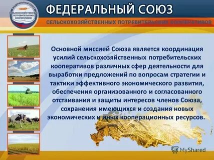 Потребительский кооператив снт