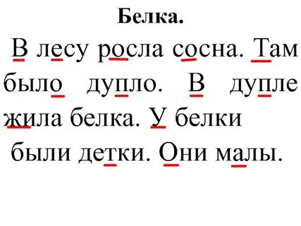 Диктант сосна