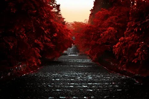 Фото кра