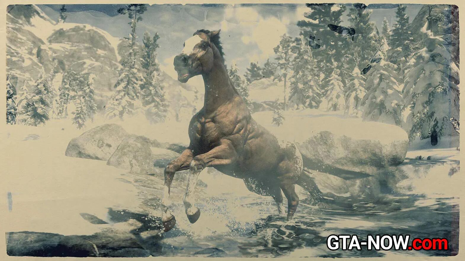 Как сесть на лошадь в рдр 2. Red dead redemption аппалуза. rdr 2 аппалуза. аппалуза лошадь rdr2. малопятнистая аппалуза рдр2.