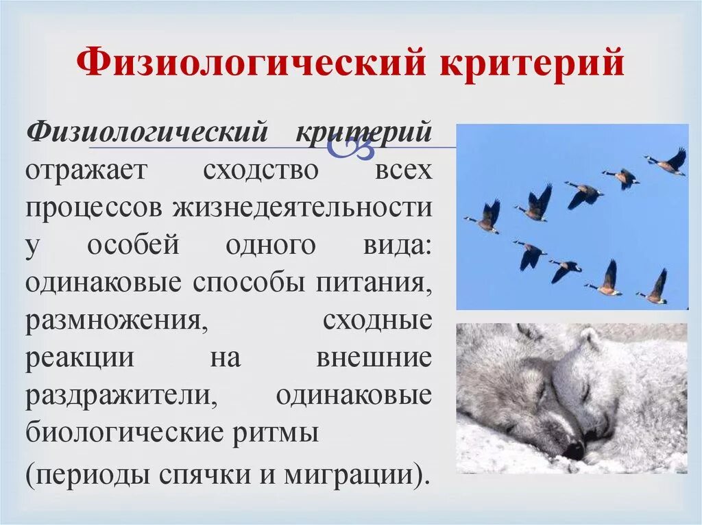 Физиологические признаки это в биологии. Физиологический критерий. Фищиологиечский Крите. Физиолигичкиф критерий.