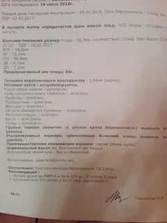 Первый скрининг в 12