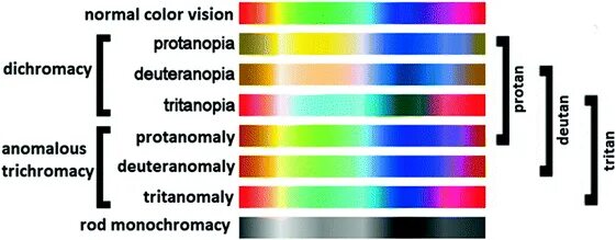 Normal color. Дейтеранопия. Tritanomaly. Желтый дейтеранопия и протанопия. Дейтеранопия - невосприятие зеленого цвета - относится к :.