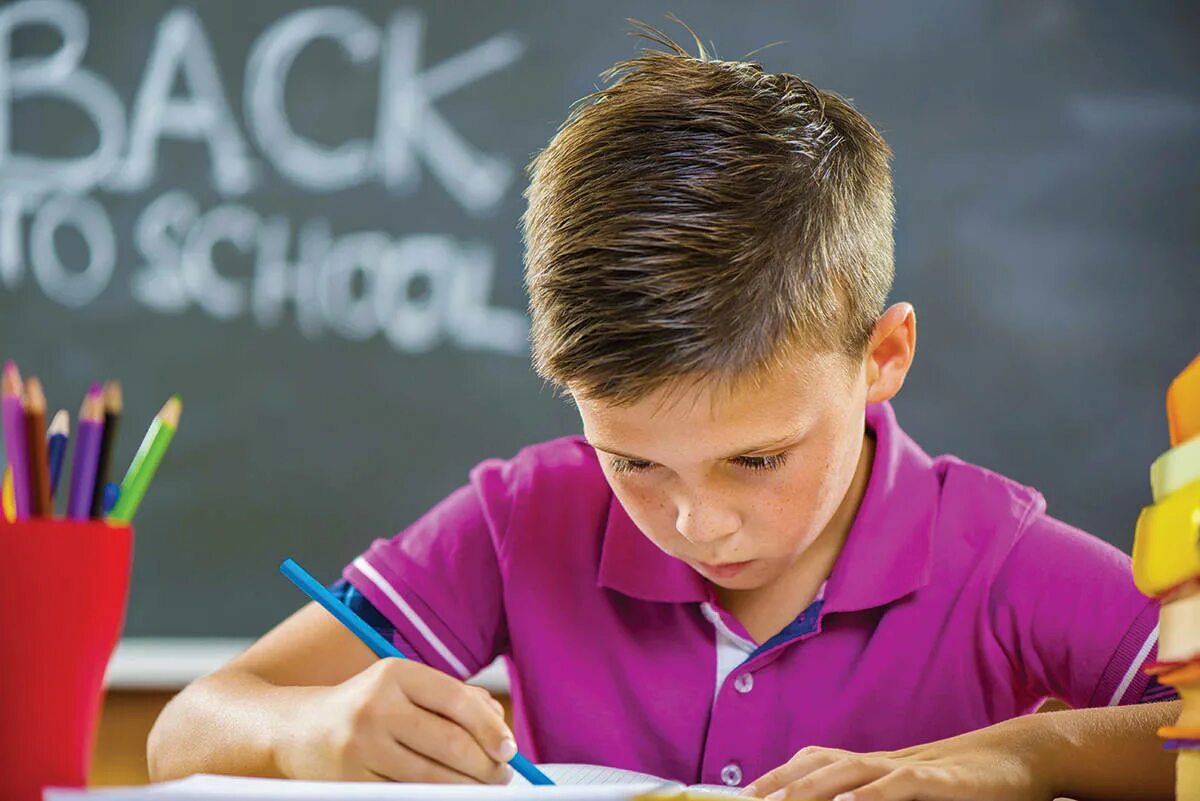 Где находится лампочка в school boy
