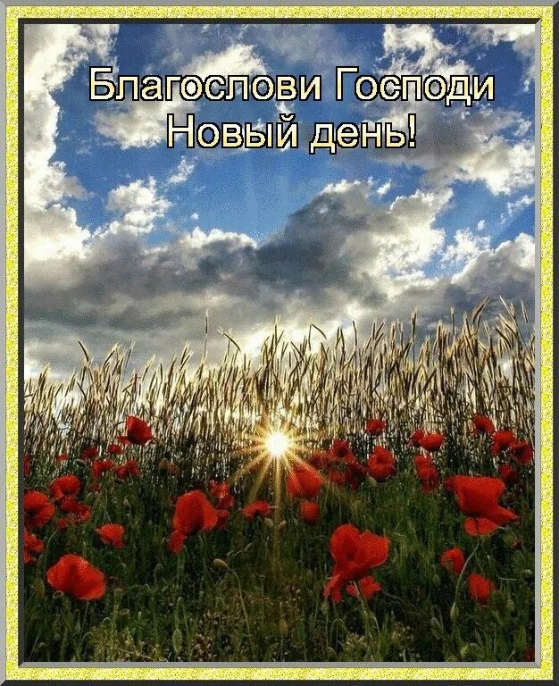 Доброго благословенного летнего дня. Доброго дня православные. с добрым утром православные. христианские открытки с добрым утром. православные пожелания с добрым утром.