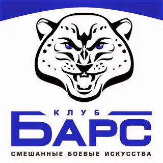 Клуб барс