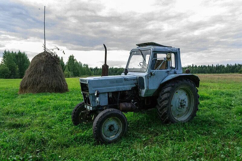 Трактор сиреноголовый. Трактор МТЗ 80 В деревне. МТЗ-80 трактор гнилой. Трактор МТЗ 80 С куном. МТЗ 80 трактор Колхозный.