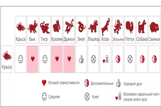 Год крыса мужчина совместимость. Совместимость крысы. Совместимость крысы и крысы. Год крысы совместимость. Крыса знаки совместимые.