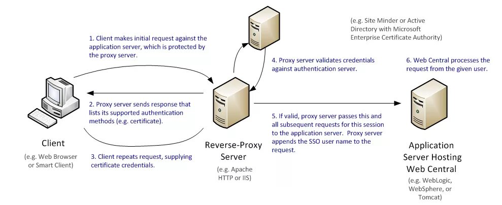 Proxy запросы. Прокси сервер. Клиент прокси сервер. Клиент серверная архитектура. Обратный прокси сервер.