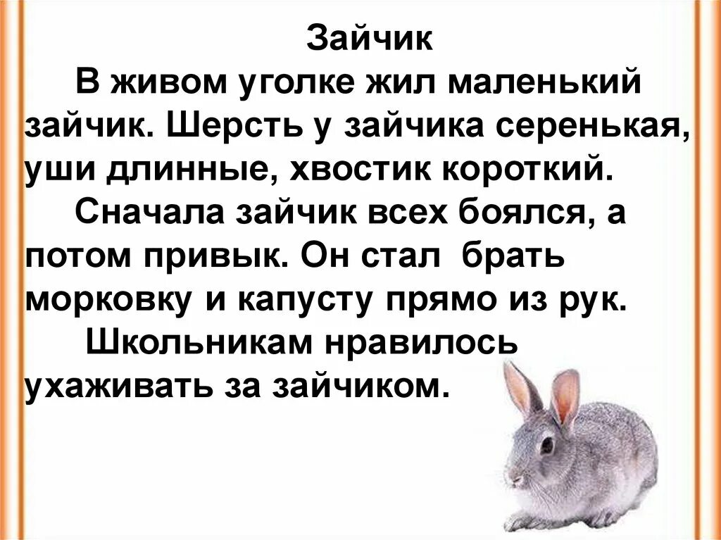 Изложение зайчик 2 класс школа России. Текст про зайца 2 класс русский язык. Текст про зайчика. Текст про зайца.