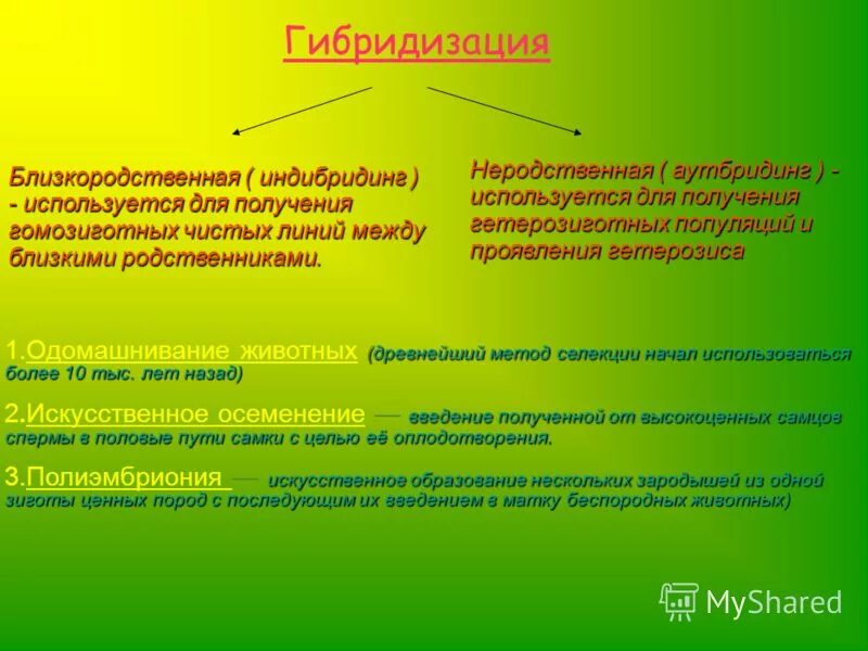 Селекция животных одомашнивание презентация