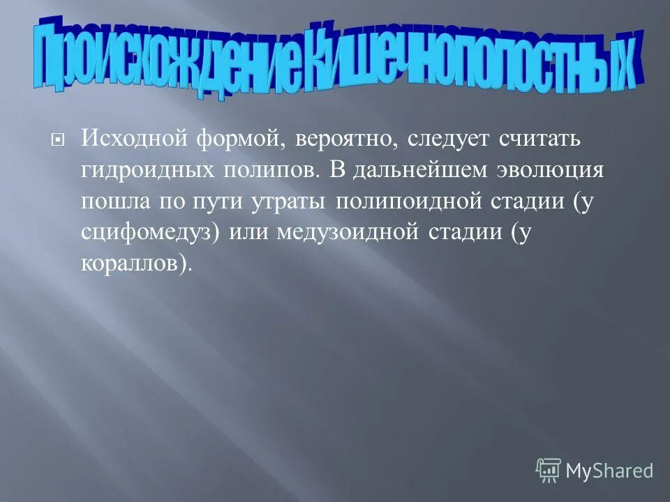 Доверие вывод. Что такое доверие сочинение. Пути утраты. Пути утраты. Сочинение на тему доверчивость.